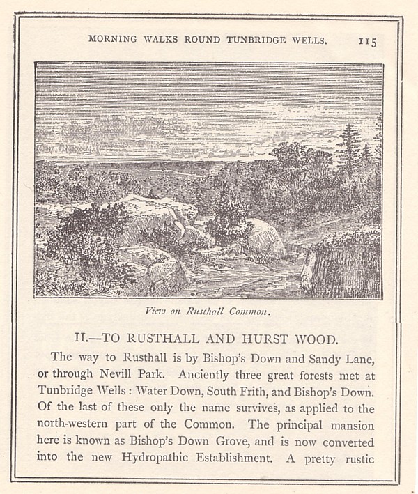 Page from Pelton's 1881 guide