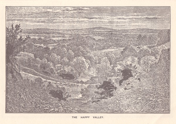 Page from Pelton's 1881 guide
