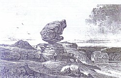 Click for larger image