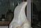 Click for enlargement