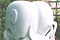 Click for enlargement
