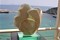 Click for enlargement
