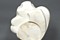 Click for enlargement