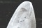 Click for enlargement