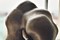 Click for enlargement