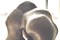 Click for enlargement