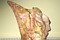 Click for enlargement