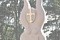 Click for enlargement
