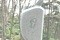 Click for enlargement