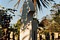 Click for enlargement