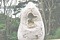 Click for enlargement