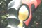 Click for enlargement