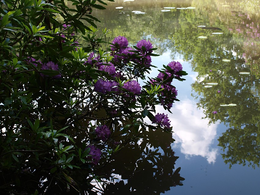 Happy Valley lake