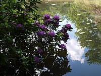 Click for enlargement