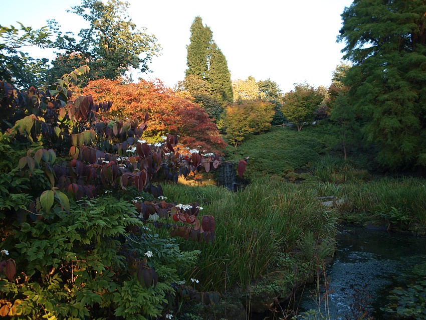 Gardens