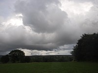 Click for enlargement