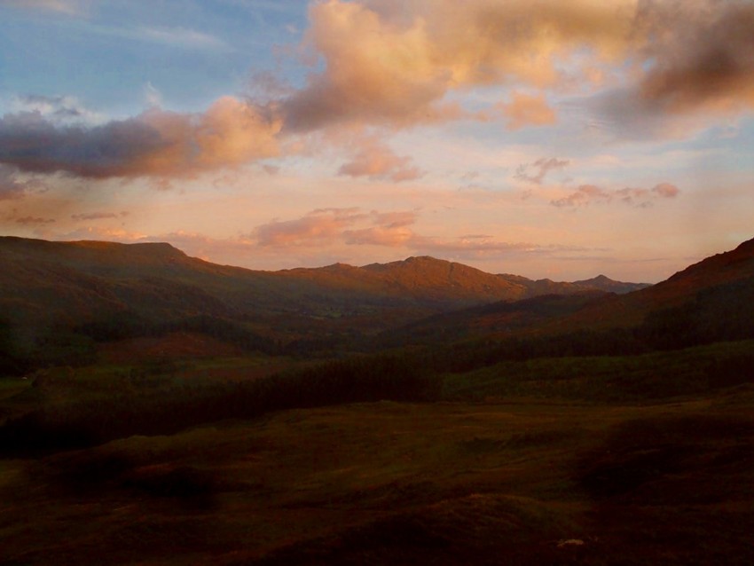 Landscape