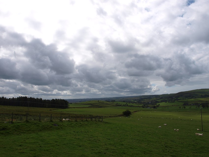 Landscape