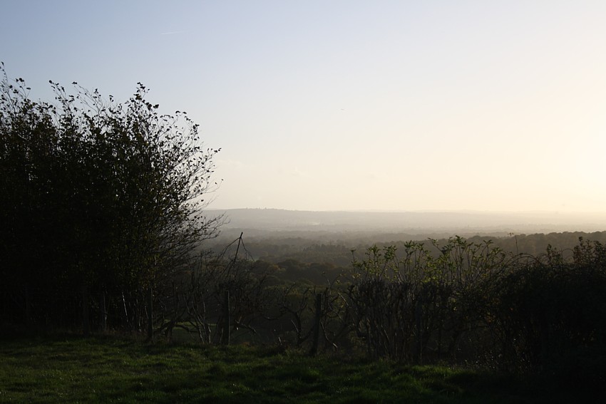 Landscape