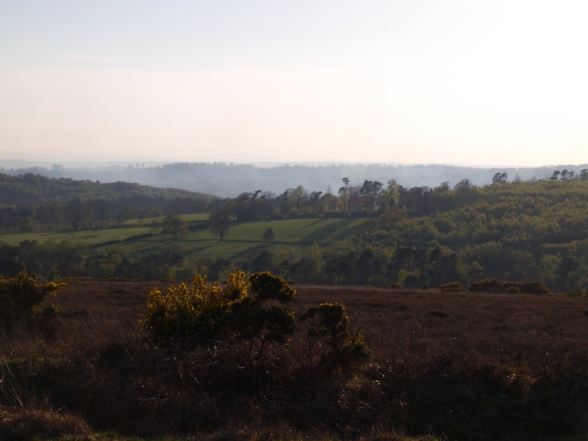 Landscape