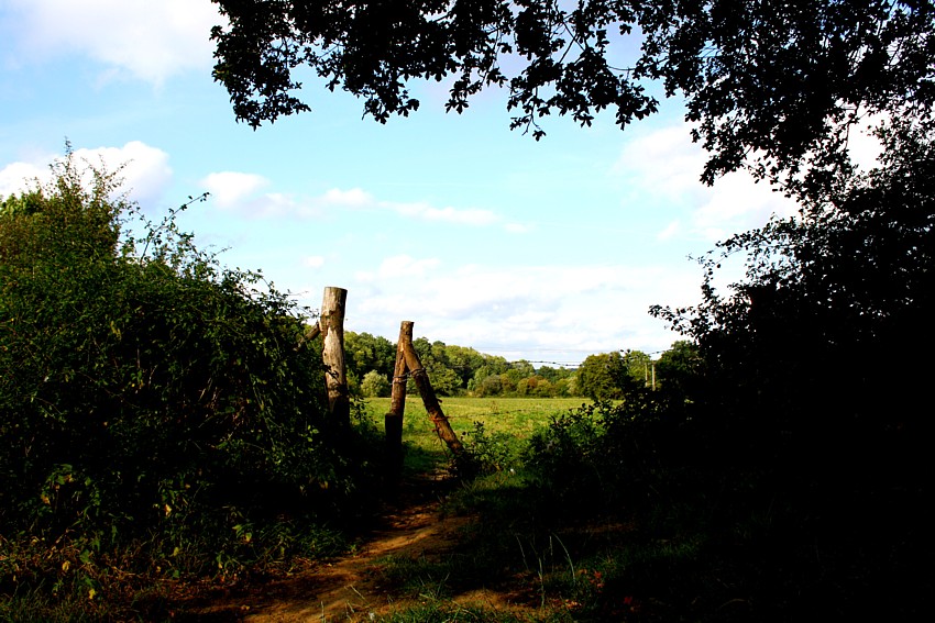 Landscape