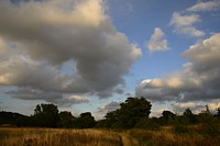 Click for enlargement