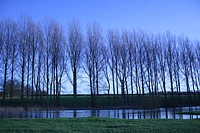 Click for enlargement