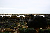Click for enlargement