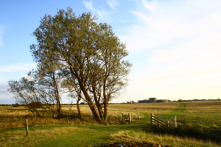 Landscape