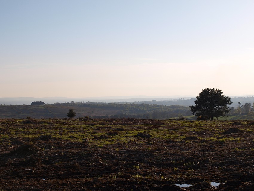 Landscape