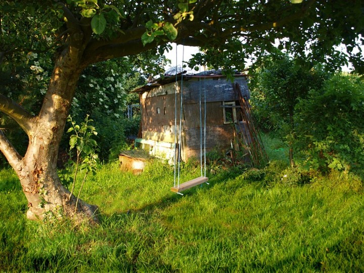 Shed